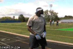 new_gif_collection_08