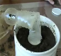 ����ɡ���