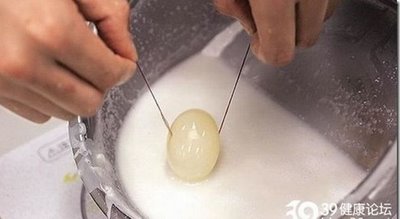 man_made_fake_eggs_07