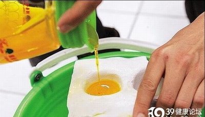 man_made_fake_eggs_05