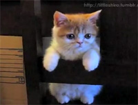 ����