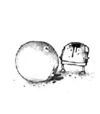ずじょう