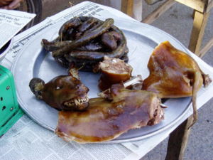 300px-Dog_meat