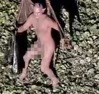 �Ƕ�ΰ������