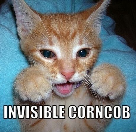 invisible_15