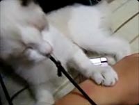 ��������