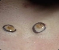 �ޤ뤫����