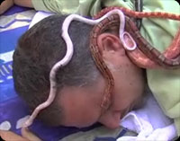 �����饨��