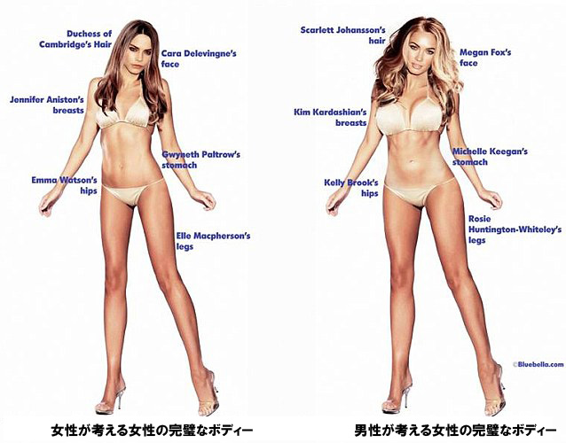 かなり違ってた 女性の考える理想の体型 と 男性が考える理想の体型 ザイーガ かなり違ってた 女性の考える理想の体型 と 男性が考える理想の体型 ザイーガ