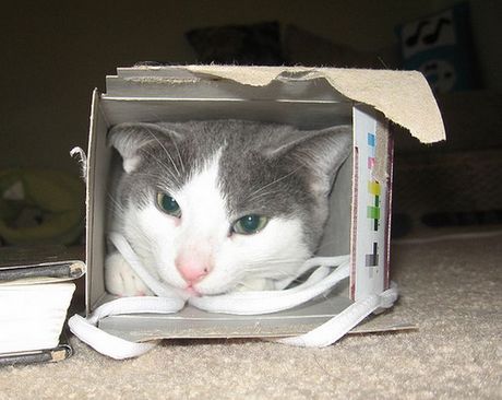 how_to_store_and_organize_cats_26