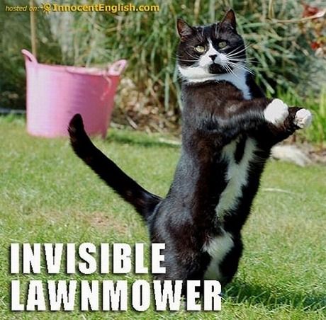 invisible_04