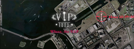 vip2
