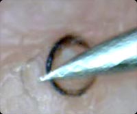 �Ҥ�������