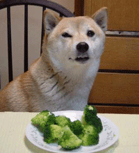 ���䤷�����