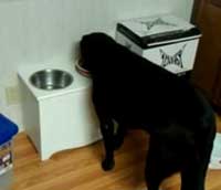 ���ץ饤��