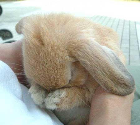 ���ͤ��ꤦ����