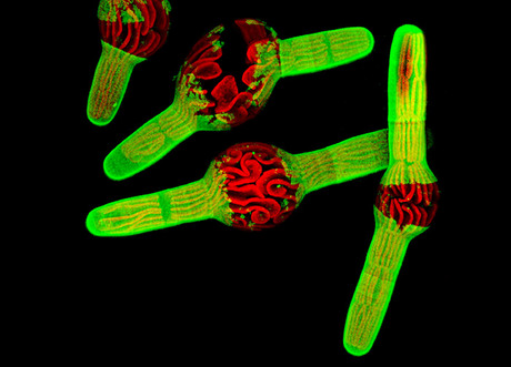 2009-5-large