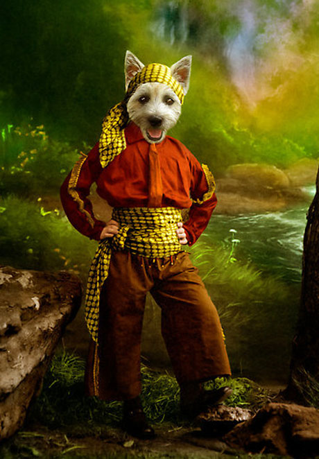 9
