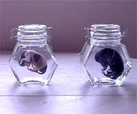 �ۻ����쥯�����