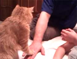 ̾��̤����-1