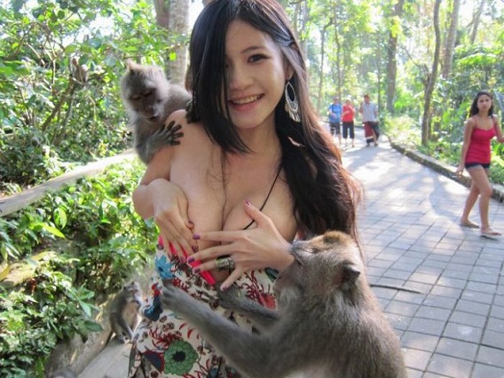 monkey_04