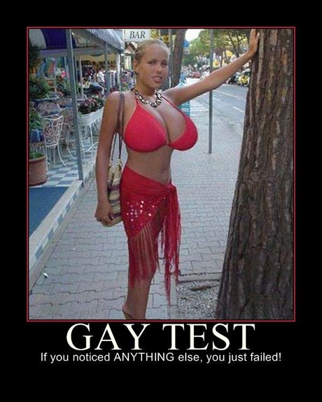 gay-test-2