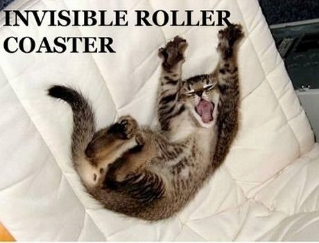 invisible_11