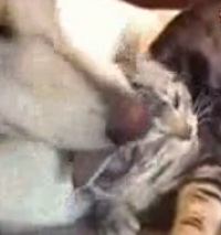 ��֤�����