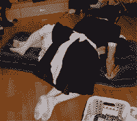 ¥¨¥í¥á¥â¥ê¡¼¥º