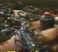 �����꡼��