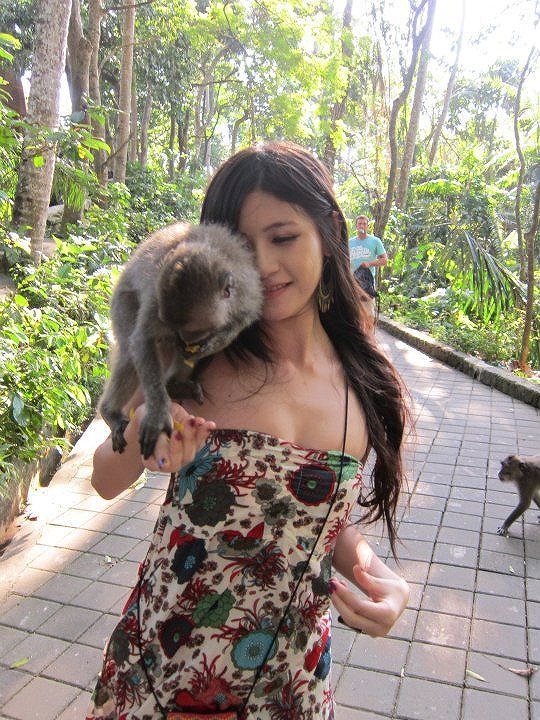monkey_01