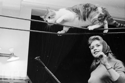 famous_people_and_their_cats_05