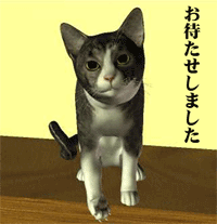 猫んびに