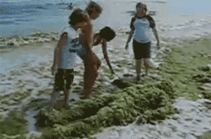 new_gif_collection_13