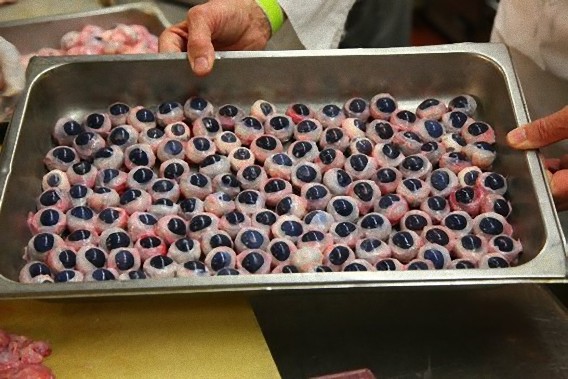 eyeball-tray_0_e