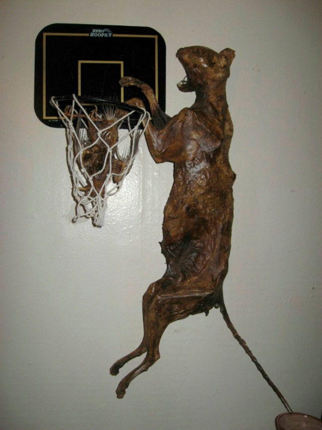 wtf-ebay-sale-2