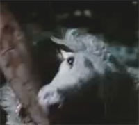 ��꡼����Τ��ʡ�