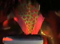 bab