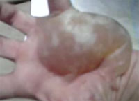 �����֤���