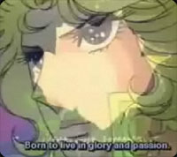 �٥륵����