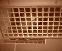 �ݤ�����