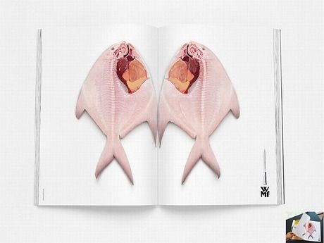magazine_36