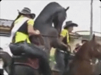 �㤦������