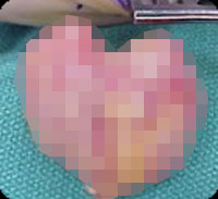 �Ф�󤿤���