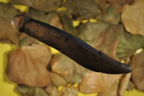 antler-penis-100720-02