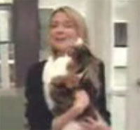 キャットファイト