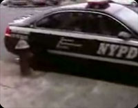 �ե��������졼��