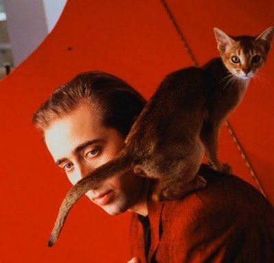 famous_people_and_their_cats_22