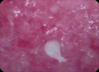 ����ˤ���