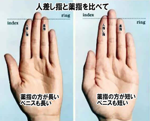 指2